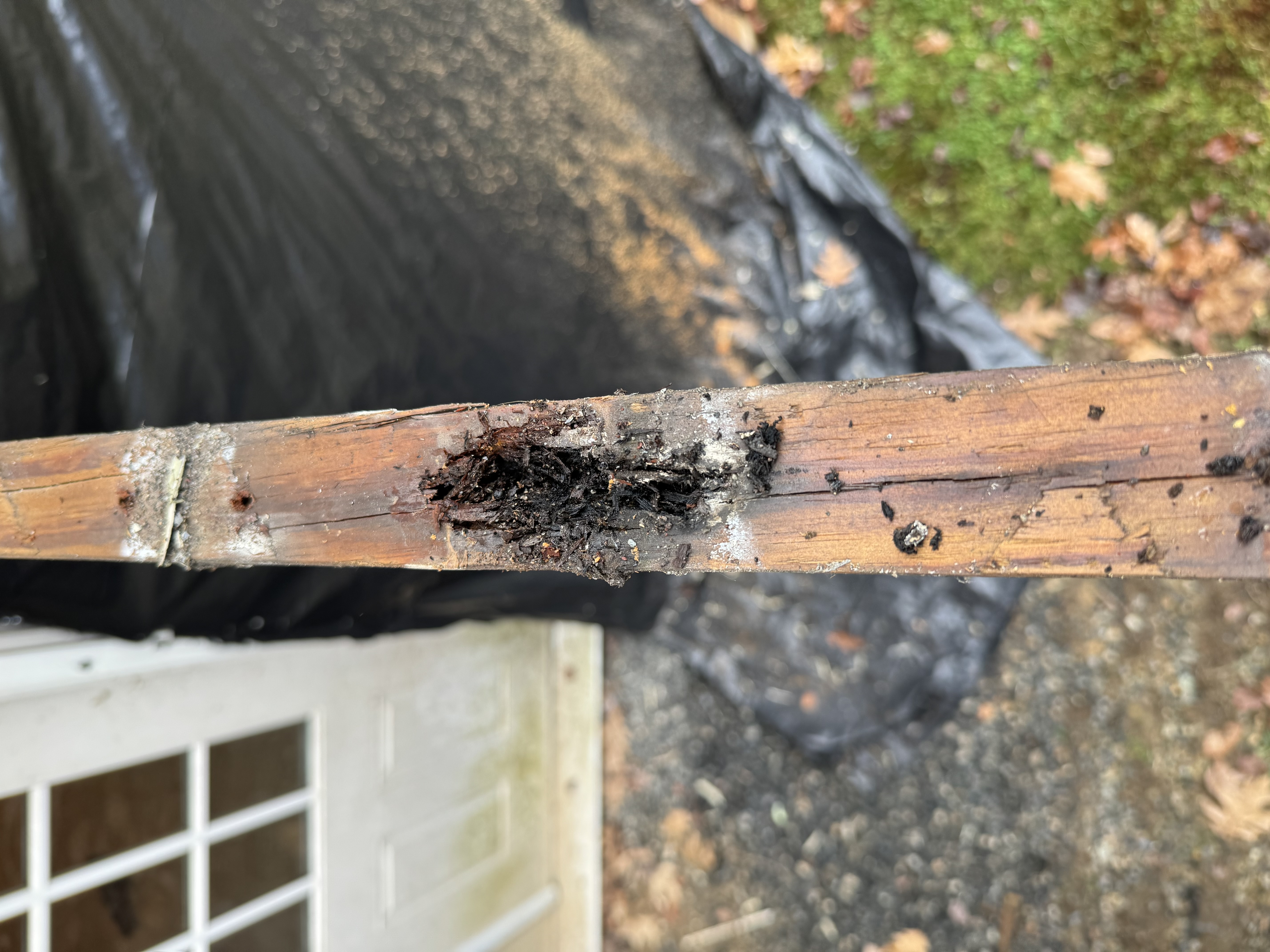 old rotted railings
