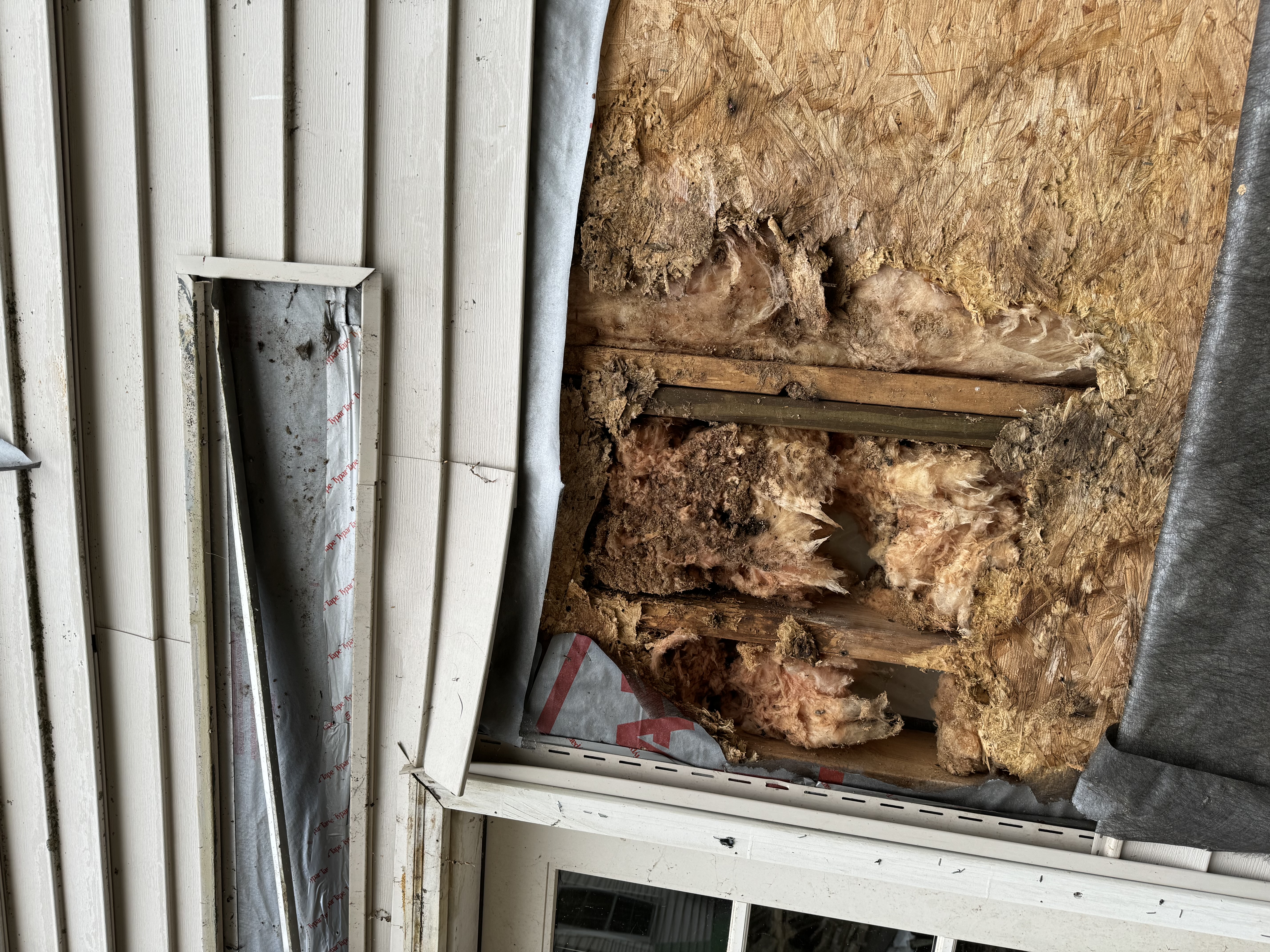 old rot behind house siding
